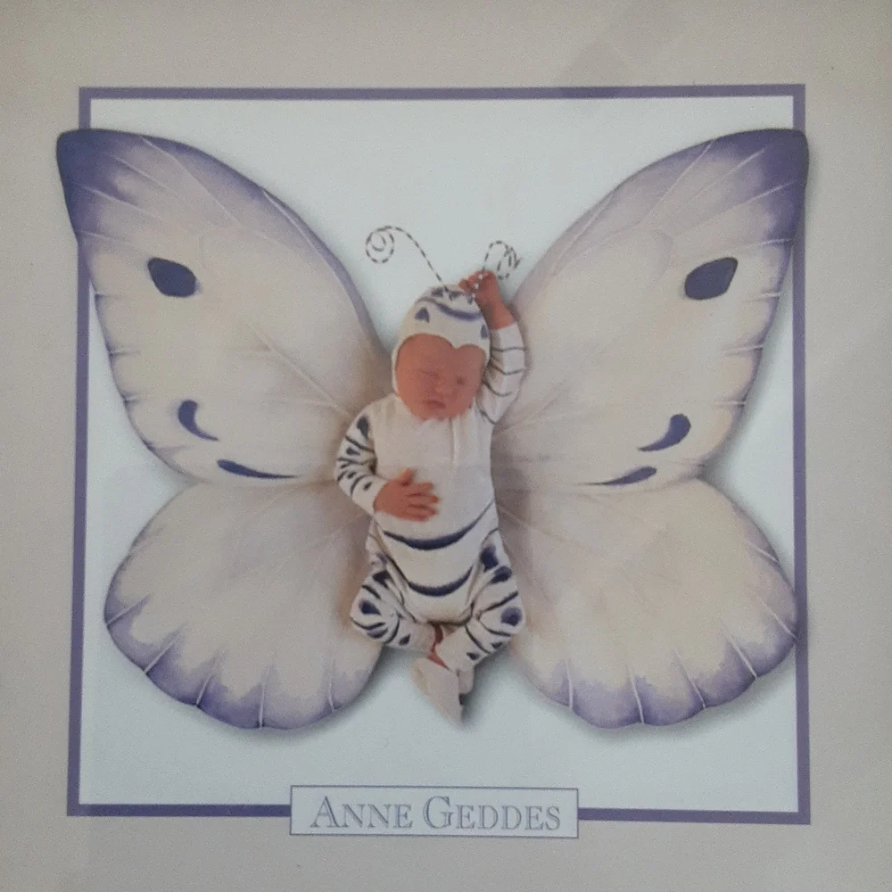 ✨️ANNE GEDDES - set of two butterfly lithographs